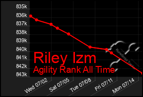 Total Graph of Riley Izm