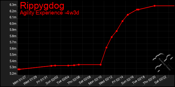 Last 31 Days Graph of Rippygdog