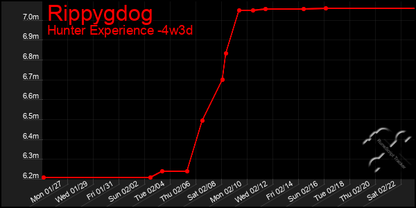 Last 31 Days Graph of Rippygdog