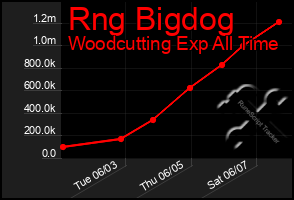 Total Graph of Rng Bigdog