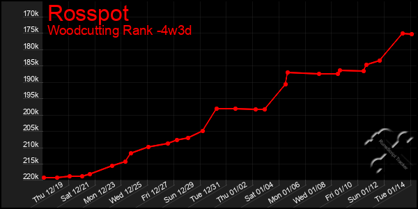 Last 31 Days Graph of Rosspot