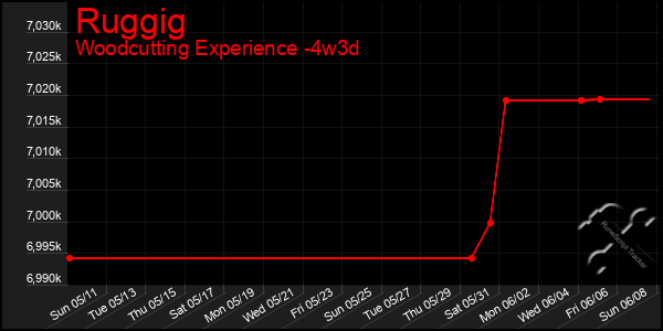 Last 31 Days Graph of Ruggig