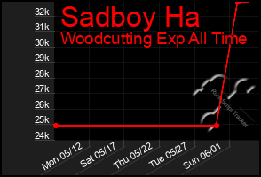 Total Graph of Sadboy Ha
