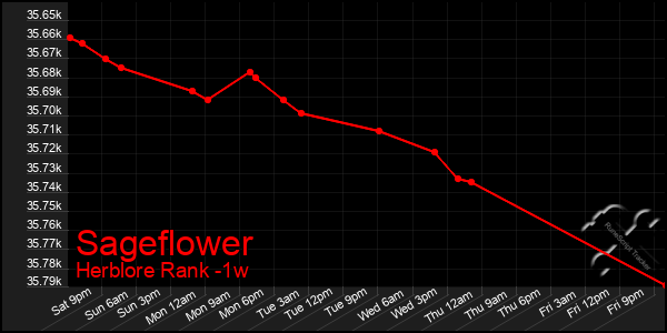 Last 7 Days Graph of Sageflower