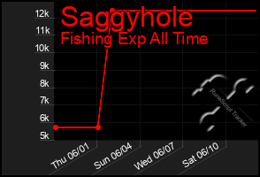 Total Graph of Saggyhole