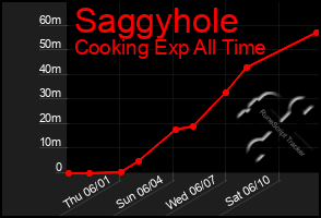 Total Graph of Saggyhole