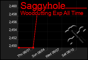 Total Graph of Saggyhole