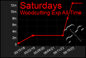 Total Graph of Saturdays