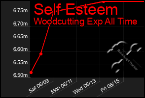 Total Graph of Self Esteem