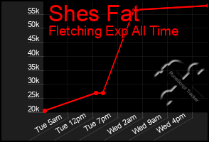 Total Graph of Shes Fat