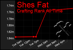 Total Graph of Shes Fat