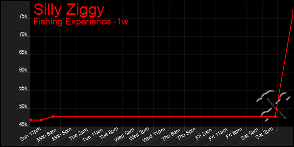 Last 7 Days Graph of Silly Ziggy