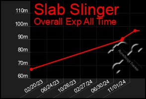 Total Graph of Slab Slinger