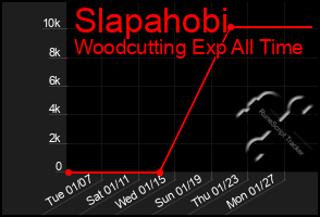 Total Graph of Slapahobi