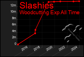 Total Graph of Slashies