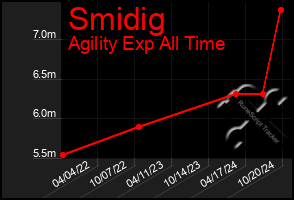 Total Graph of Smidig