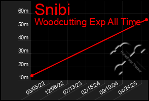 Total Graph of Snibi