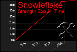 Total Graph of Snowieflake