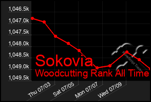 Total Graph of Sokovia