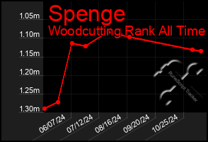 Total Graph of Spenge