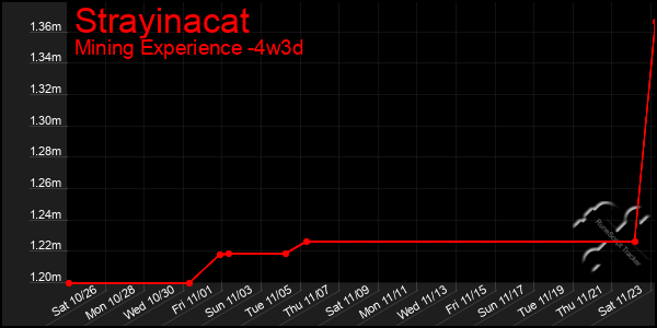 Last 31 Days Graph of Strayinacat