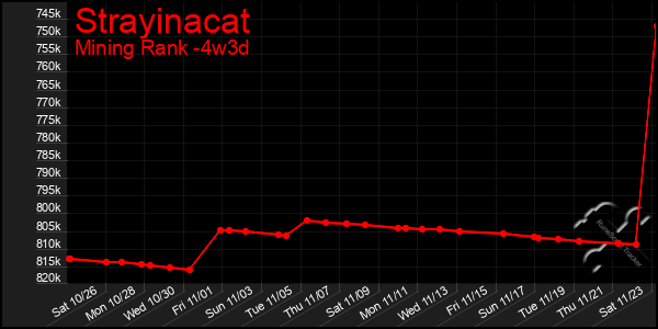 Last 31 Days Graph of Strayinacat