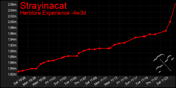 Last 31 Days Graph of Strayinacat