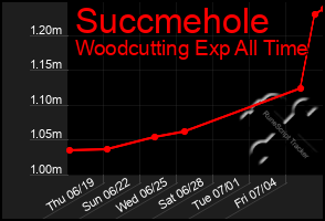 Total Graph of Succmehole