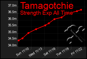 Total Graph of Tamagotchie