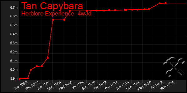 Last 31 Days Graph of Tan Capybara