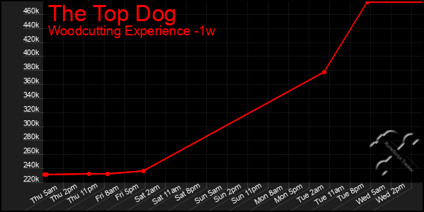 Last 7 Days Graph of The Top Dog