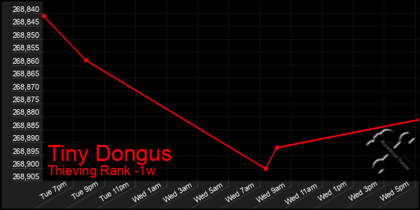 Last 7 Days Graph of Tiny Dongus