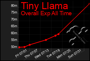 Total Graph of Tiny Llama