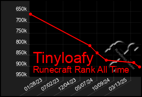 Total Graph of Tinyloafy