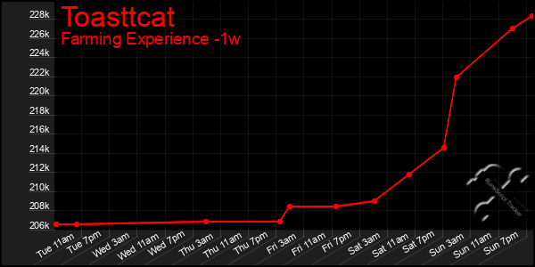 Last 7 Days Graph of Toasttcat