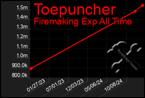 Total Graph of Toepuncher