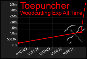 Total Graph of Toepuncher