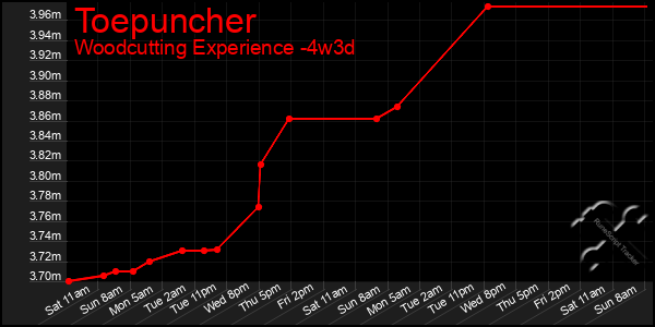 Last 31 Days Graph of Toepuncher