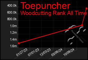 Total Graph of Toepuncher