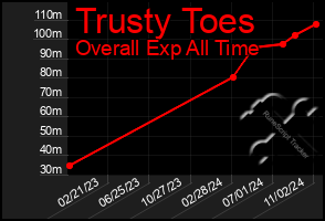 Total Graph of Trusty Toes