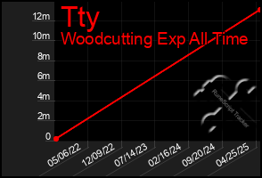 Total Graph of Tty