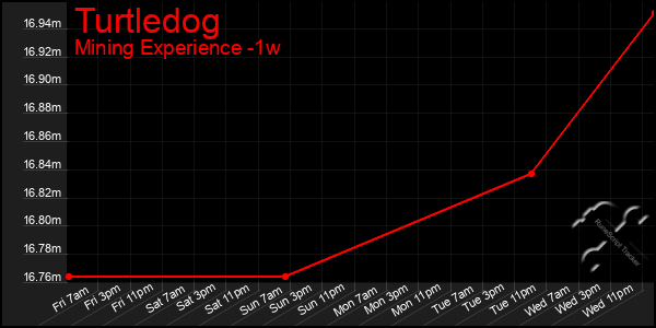 Last 7 Days Graph of Turtledog