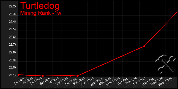 Last 7 Days Graph of Turtledog