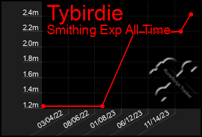 Total Graph of Tybirdie