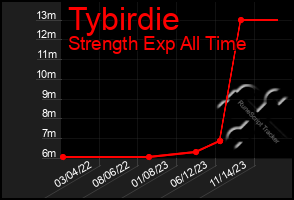 Total Graph of Tybirdie