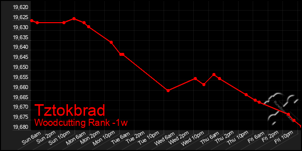 Last 7 Days Graph of Tztokbrad