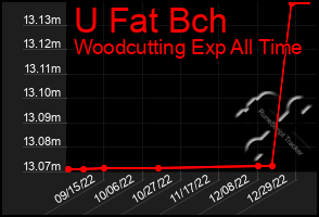 Total Graph of U Fat Bch