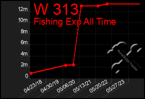 Total Graph of W 313