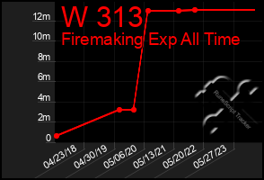 Total Graph of W 313