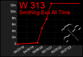 Total Graph of W 313